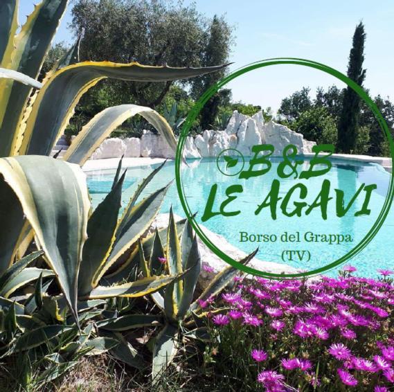 B&B Le Agavi Borso del Grappa Ngoại thất bức ảnh